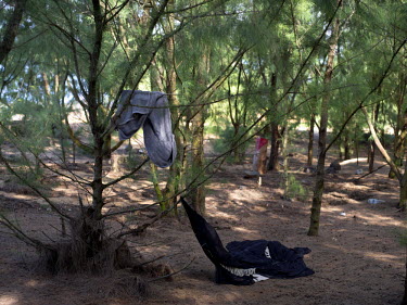 Items of clothing hanging from bushes. Many homeless people in Hawaii live on beaches. Living on the beach can be dangerous and uncomfortable. Violence and even rape are not uncommon, and the high tem...