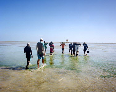 Indian Ocean Trepang (IOT), a sea cucumber aquaculture company), employees walk to the company's sea cucumber gardens near Tulear. About 30 percent of the production is raised by Vezo villagers the re...