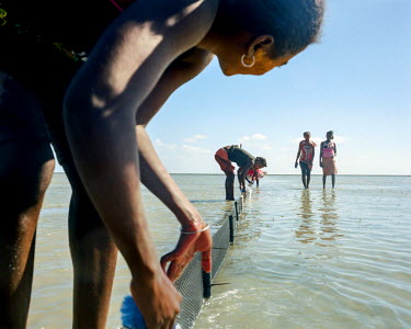 Women, working for Indian Ocean Trepang (IOT), a sea cucumber aquaculture company), cleaning the sea cucumber garden fences. It is important to enable good water circulation to bring in all the nutrim...