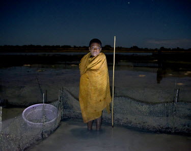 A boy waits while his parents collect sea cucumbers in the shallow waters of a lagoon. The animals hide in the sand during the day so, twice a month in the night, during the low tide, villagers walk t...