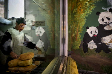A panda mural is reflected in the window as a researcher prepares a specially made bread to feed to the captive and wild pandas at the Hetaoping Panda Conservation Centre. The bread provides nutrients...