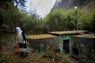A researcher dressed in a panda costume cleans a wild panda enclosure at the Hetaoping Panda Conservation Centre. The researchers wear the panda costumes to prevent the wild pandas from becoming accus...