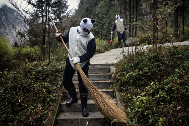 Researchers dressed in panda costumes clean one of the wild panda enclosures at the Hetaoping Panda Conservation Centre. The researchers wear the panda costumes to prevent the wild pandas from becomin...