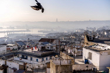 A view over Algiers from a rooftop in the city's Casbah. On the horizon is the 'Maqam Echahida', a monument to the martyrs who died in Algeria's war of independence against France.