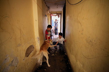 Thirty four year old Jihan with her sons Ahmed and Mohammad, aged five and seven, play with a dog in the Lavrio refugee camp.  They left Damascus with Jihan's husband Ashraf, to escape the conflict. J...
