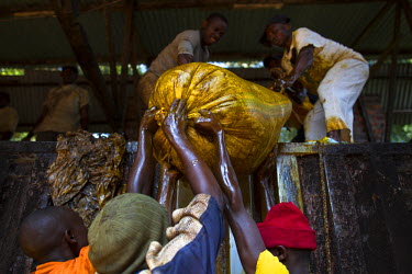 Workers at the Savonnerie Industrielle de Butembo (SAIBU), a soap factory, drag sacks of palm oil, a key ingredient in the manufacture of soap, into the facility. Bad roads and insecurity means the co...