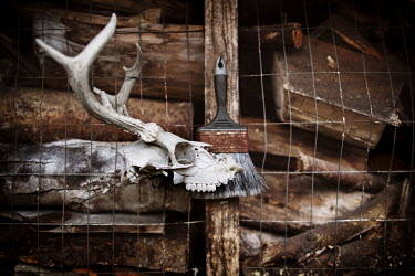 A deer's skull and antlers outside the home of Jesse Boggess. He was awarded 16 different medals during service in the Vietnam War from 1969 to 1970, including a Medal of Honor. Now he lives by himsel...