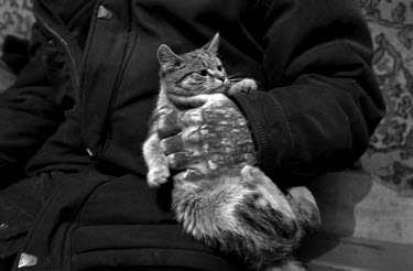 A former convict plays with a cat which lives in the coal store in the village of Due. Sometimes locals bring kittens to the coal store to be burnt since they don't want to feed them but this cat surv...