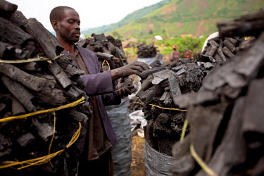A man loading sacks with charcoal in a village near Goma.