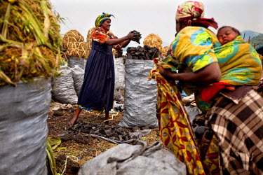 A woman loading sacks with charcoal in a village near Goma.