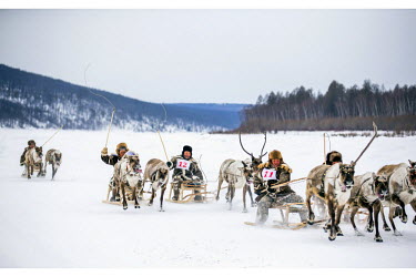 Indigenous Evenki race their reindeer pulled sleges at the annual Khatystyr reindeer festival. Evenki culture revolves around these animals, their livelihood and cultural identity hinging on their her...