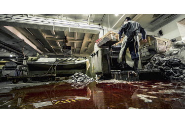 A man working at the government owned Sakha Bult sorting facility stands above the floor which is flooded with blood. Hunters sell their skins to the factory where they are prepared for use in the fur...