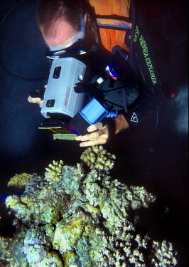 A marine biologist examines and photographs corals on the Great Barrier Reef. In 1998 scientists began warning about the destructive impact on coral reefs of rising sea temperature, coral bleaching an...