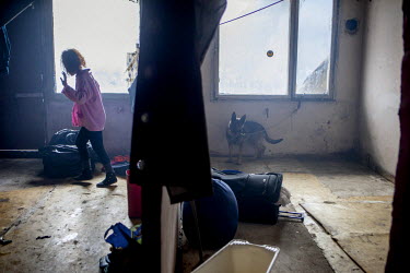 A chained dog and a young girl in a flat in Hrebenova 34-36, a housing block on the Lunik IX complex. The estate It is almost entirely populated by Roma and living conditions for the residents are app...