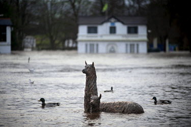 Statues of alpacas, whose hair was made into textiles in nearby Salts MIll, stare across the flooded Saltaire Cricket Club pitch.