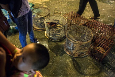 Snakes, pangolins and other animals rest on the floor in cages in front of a so-called 'wildlife' restaurant in Mong La. They are available as dishes inside the restaurant.  The town of Mong La on the...
