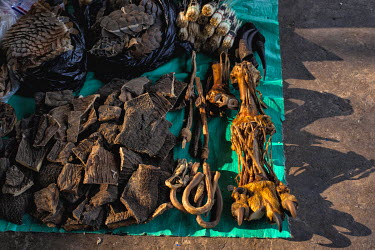 Elephant skin, tiger paws, tiger penis, and pangolin scales on sale in the market of Mong La.  The town of Mong La on the Burma - China border in western Burma (Myanmar) is technically in Burma but re...