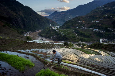 Qian Yi Qiu, 40, a Lisu villager works in his rice terraces which overlook the Nujiang River in Lawu Village.