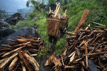 Akai, 45, and his wife, a Lisu villager, collecting drift wood from the Nujiang River to use as firewood.