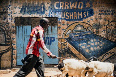 A goatherd walks in front of a furniture store in Dadaab refugee camp.