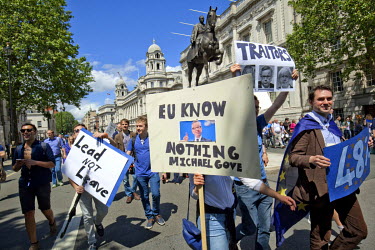 Placards held aloft during a rally in Whitehall, central London held by people protesting the result of the referendum to leave or remain in the EU. A week earlier British voters decided to leave the...