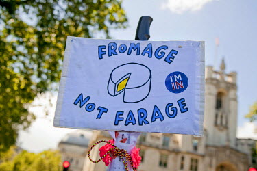 A placard that reads: 'Fromage not Farage' carried during a rally in central London held by people protesting the result of the referendum to leave or remain in the European Union. A week earlier Brit...