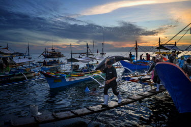 Fishermen offload a line caught, yellow fin tuna, taken in the South China Sea, from a fishing boat at the General Santos Fish Port. General Santos City is the largest producer of sashimi-grade tuna i...