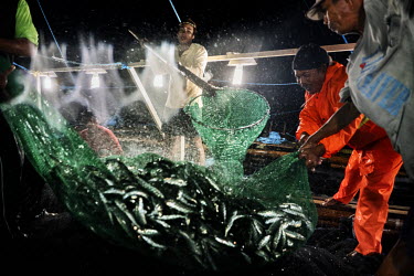 Crew members haul in nets loaded with scad and sardines on the 'Ninay', a basnig fishing boat, plying the fishing grounds in national waters close to the South China Sea.
