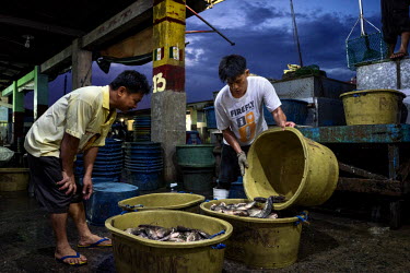 Dock workers unload fresh water fish at one of the markets in the Navotas Fish Port, the largest fish port in the Philippines. The markets at Navotas Fish Port trade in fish and other seafood from Man...
