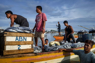 Fisherman ride a small skiff loaded with their night's catch unloaded from their larger fishing boat (unseen) and taken to the fishing port and market in Quezon.