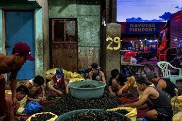 Dock workers sort through mussels at one of the markets in the Navotas Fish Port, the largest fish port in the Philippines. The markets at Navotas Fish Port trade in fish and other seafood from Manila...