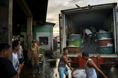 Fisherman unload fish trucked from other ports in the Philippines, at one of the markets in the Navotas Fish Port, the largest fish port in the Philippines. The markets at Navotas Fish Port trade in f...