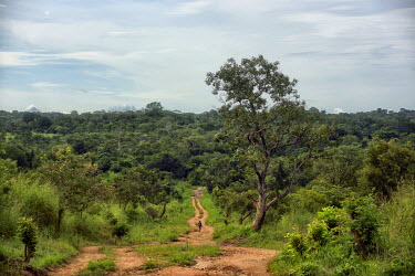 The road to Muhuya, home to an ethnic Twa pygmy population. The conflict in Katanga, a vast province known for its rich deposits of copper and valuable metals, pits the Luba, a Bantu ethnic group, aga...