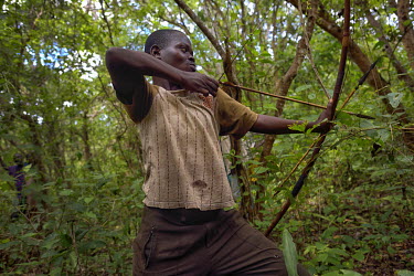 An ethnic Twa pygmy man trying to hunt a small bush animal with his bow and arrow in the bush. The conflict in Katanga, a vast province known for its rich deposits of copper and valuable metals, pits...