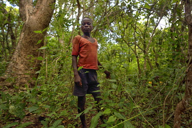 An ethnic Twa pygmy man during a hunt in the bush. The conflict in Katanga, a vast province known for its rich deposits of copper and valuable metals, pits the Luba, a Bantu ethnic group, against the...