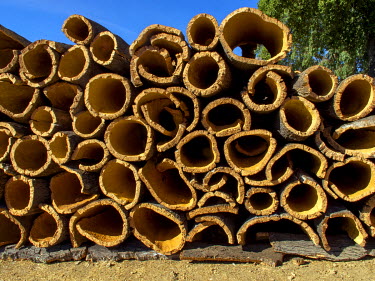 A store of harvested cork bark ready for transport to factories. Portugal is the world's biggest exporter of cork with a yearly production of 340,000 tonnes.