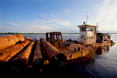 Tree trunks being transported on the Congo River.