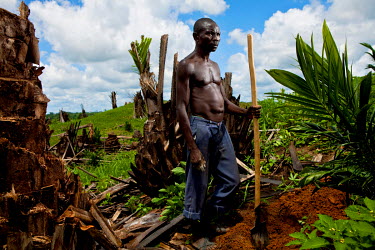 A worker planting palm oil plants in potentially the biggest palm oil plantation in Africa which is owned by Canadian company Feronia.