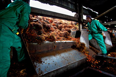 Workers in a palm oil factory.