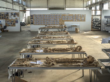 The remains of people massacred during the Bosnian war are laid out on tables at the Krajina Identification Project. It is here that the remains of people murdered during the Bosnian wars are identifi...