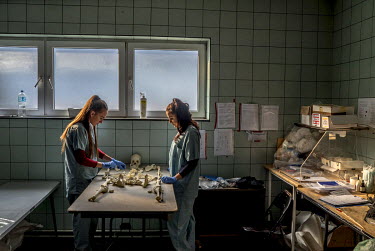 Victoria Amina-Dautovic (right) and Bojana Tomasevic, staff at an International Commission on Missing Persons (ICMP) mortuary facility, train using a synthetic skeleton.