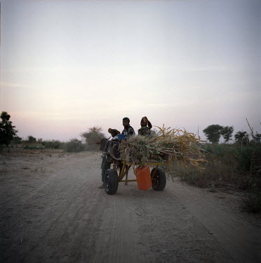 A family riding home on a cart loaded with a small harvest of millet.