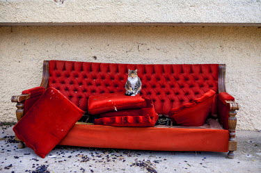 A cat rests on a red couch left beside the main road of the village of Gialos.