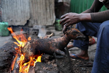 Kwame Akugo singeing the hair off a duiker carcass in Atwemonom, the city's main bushmeat market. Akugo, who is paid by the carcass, works in the burning area, where fur is singed and scraped off carc...