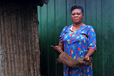 Adwoh Serwaa, a bushmeat vendor, holding a grasscutter (greater cane rat) that will be butchered and sold as bushmeat at Atwemonom, the city's main bushmeat market. Bushmeat is a delicacy in Ghana, bu...