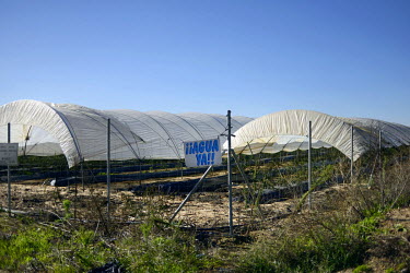 A sign that reads: 'Agua Ya' (Water Now!) on a fence at a berry farm near the Donana National Park.  The World Wildlife Fund says excessive water extraction is putting the park, one of Europe's most c...