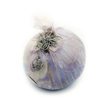Although it is the season for onions in the north of Cameroon most stalls in Meme's market have dishevelled red onions to sell. One onion costs about 10 CFA (GBP 0.01p) from the market. The extreme no...