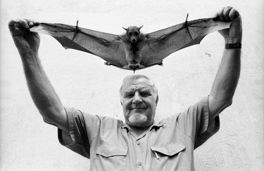 Virologist Bob Swanepoel holds up a fruit bat that he will examine in his quest to find the source of the Ebola virus.