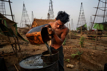 Win Myint Oo, 24, a wildcat oil prospector pours oil that he has just drawn from one of the two wells his family own into a storage barrel at Nga Naung Mone, Myanmar's largest unregulated oil field.