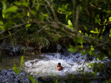 A boy swimming in a river, in the foreground is a coca-plant. Coca leaves (for cocaine-production) are grown openly and extensively in these mountains only a few hours from the city of Cali. The area...